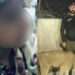 Pet lioness attacks eight-year-old girl in Lahore, owners arrested (Image: Geo News)