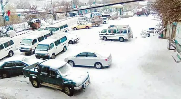 File