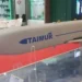 The Taimoor is a stand-off anti-ship and land attack cruise missile designed as a jet-launched missile for air-to-surface assault missions. (Image: turdef.com)