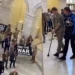 At least 62 U.S. military veterans and family members were arrested by Capitol Police on Monday after occupying the Cannon House Office Building in Washington, D.C..